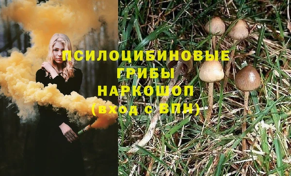 PSILOCYBIN Беломорск