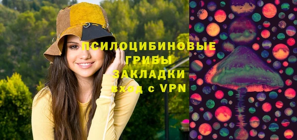 PSILOCYBIN Беломорск