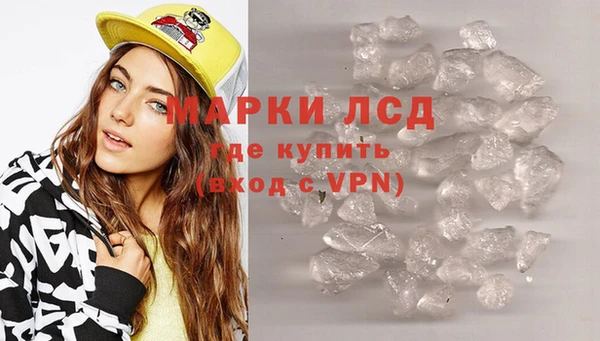 PSILOCYBIN Беломорск