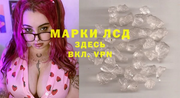 PSILOCYBIN Беломорск
