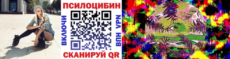 закладки  Верхотурье  Галлюциногенные грибы MAGIC MUSHROOMS 
